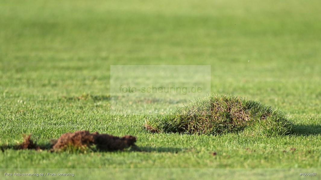 SPO, viertklassig, vierthöchste Spielklasse, Voetbal, Teamsport, Sport, Soccer, Saison 2024 2025, Profifußball, Männer, Mannschaftssport, Burghausen, Le Football, Herren, Germany, GER, Fußball, Futbol, Fussball, Fotball, Viertklassigkeit, Vierte Liga, Deutschland, DFB, DEU, Wacker-Arena, Calcio, Regionalliga, Regionalliga Bayern, 2024/25, 3. Spieltag - Bild-ID: 1000657 SPO, viertklassig, vierthöchste Spielklasse, Voetbal, Teamsport, Sport, Soccer, Saison 2024 2025, Profifußball, Männer, Mannschaftssport, Burghausen, Le Football, Herren, Germany, GER, Fußball, Futbol, Fussball, Fotball, Viertklassigkeit, Vierte Liga, Deutschland, DFB, DEU, Wacker-Arena, Calcio, Regionalliga, Regionalliga Bayern, 2024/25, 3. Spieltag - Bild-ID: 1000657