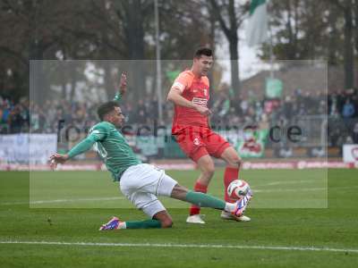 Bild-ID: 1000187