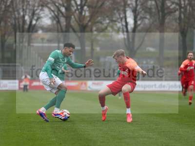 Bild-ID: 1000195