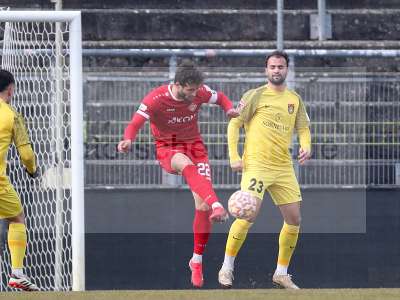 Bild-ID: 1003680