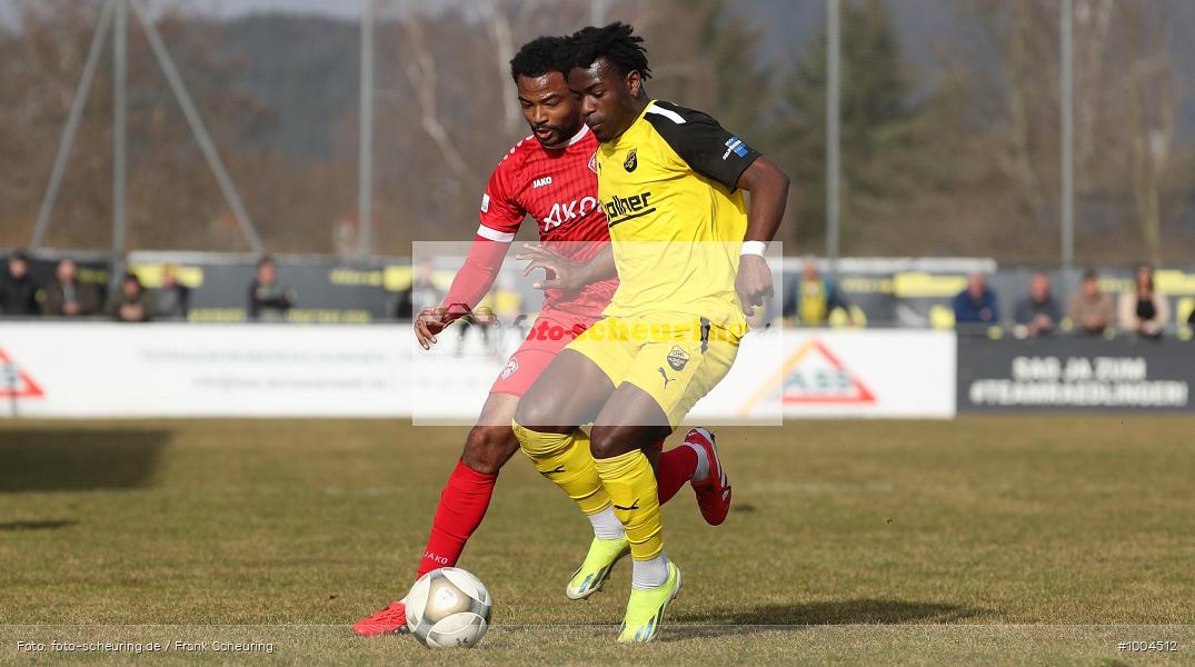 SPO, viertklassig, vierthöchste Spielklasse, Voetbal, Teamsport, Sport, Soccer, Saison 2024 2025, Männer, Mannschaftssport, Cham/Vilzing, Le Football, Herren, Germany, GER, Fußball, Futbol, Fussball, Fotball, Viertklassigkeit, Vierte Liga, Deutschland, DFB, DEU, Manfred-Zollner-Stadion, Calcio, Regionalliga, Regionalliga Bayern, 2024/25, 22.03.2025, 26. Spieltag - Bild-ID: 1004512 SPO, viertklassig, vierthöchste Spielklasse, Voetbal, Teamsport, Sport, Soccer, Saison 2024 2025, Männer, Mannschaftssport, Cham/Vilzing, Le Football, Herren, Germany, GER, Fußball, Futbol, Fussball, Fotball, Viertklassigkeit, Vierte Liga, Deutschland, DFB, DEU, Manfred-Zollner-Stadion, Calcio, Regionalliga, Regionalliga Bayern, 2024/25, 22.03.2025, 26. Spieltag - Bild-ID: 1004512