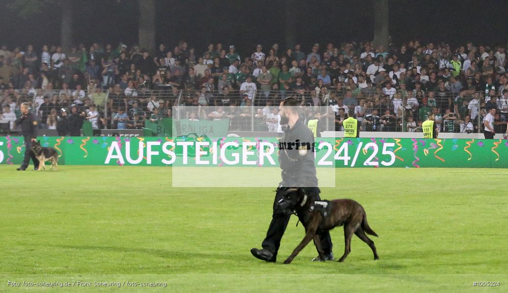 CT, viertklassig, vierthöchste Spielklasse, Voetbal, Teamsport, Sport, Soccer, Saison 2024 2025, Profifußball, Männer, Mannschaftssport, Schweinfurt, Le Football, Herren, Germany, GER, Fußball, Futbol, Fussball, Fotball, Viertklassigkeit, Vierte Liga, Deutschland, DFB, DEU, Sachs-Stadion, Calcio, Regionalliga, Regionalliga Bayern, 2024/25, 02.05.2025, 32. Spieltag - Bild-ID: 1005224 CT, viertklassig, vierthöchste Spielklasse, Voetbal, Teamsport, Sport, Soccer, Saison 2024 2025, Profifußball, Männer, Mannschaftssport, Schweinfurt, Le Football, Herren, Germany, GER, Fußball, Futbol, Fussball, Fotball, Viertklassigkeit, Vierte Liga, Deutschland, DFB, DEU, Sachs-Stadion, Calcio, Regionalliga, Regionalliga Bayern, 2024/25, 02.05.2025, 32. Spieltag - Bild-ID: 1005224