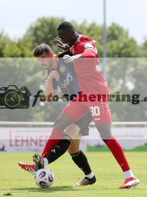 Bild-ID: 1005912