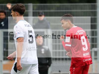 Bild-ID: 1005733