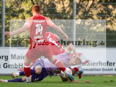 Bild-ID: 1007486